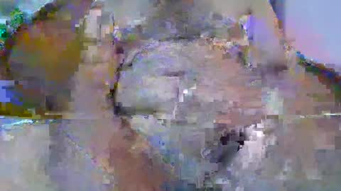 Snapshot of bigdaddysam95 chatting on 24, 9, 2025 bigdaddysam95 online show from 24, 9, 2025