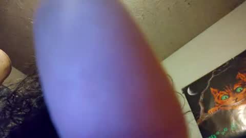 casey online show from 14, 6, 2026