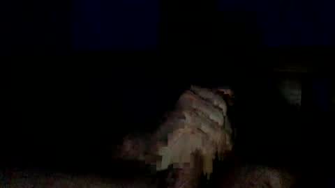 Snapshot of bigdickbcboy chatting on 11, 11, 2025 BigThickJuicy Cock online show from 11, 11, 2025