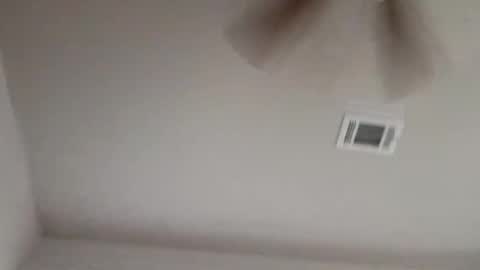 bigdickdaddy3200798456 online show from 24, 5, 2026