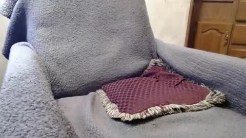 Snapshot of bigdickdaddy567130413 chatting on 29, 12, 2024 bigdickdaddy567130413 online show from 29, 12, 2024