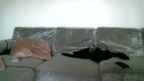 Snapshot of bigdickjimmywill chatting on 15, 2, 2025 CAJEinc online show from 15, 2, 2025