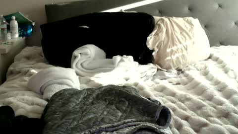 Snapshot of bigdickjoey1995 chatting on 10, 1, 2025 bigdickjoey1995 online show from 10, 1, 2025