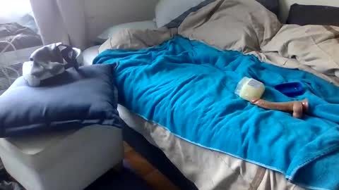 Snapshot of bigjoed233 chatting on 8, 3, 2026 bigjoed233 online show from 8, 3, 2026