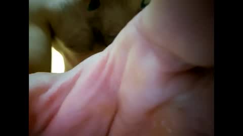 Snapshot of bigjoeyblow chatting on 1, 11, 2025 bigjoeyblow online show from 1, 11, 2025