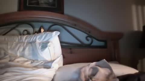 Snapshot of bigload1972 chatting on 22, 1, 2025 bigload1972 online show from 22, 1, 2025