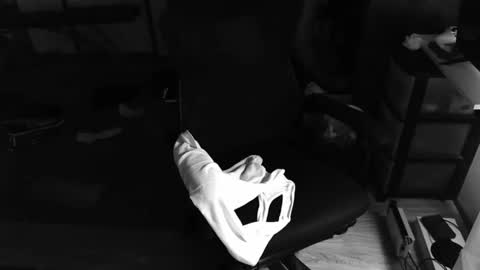 Snapshot of biglongt chatting on 9, 11, 2025 biglongt online show from 9, 11, 2025