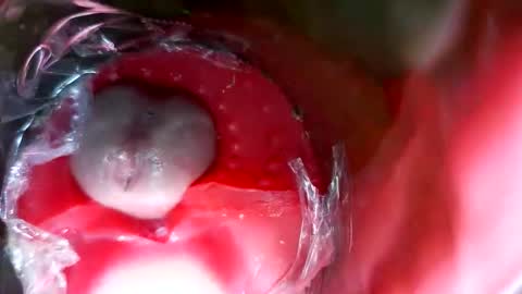 bigmoneycorey online show from 12, 3, 2026