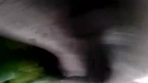 Snapshot of bignastyfilthy chatting on 19, 1, 2026 bignastyfilthy online show from 19, 1, 2026