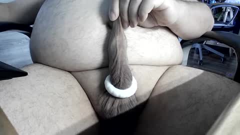 bigoli1973 online show from 14, 6, 2026