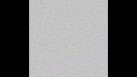 bigotterbro online show from 4, 2, 2026