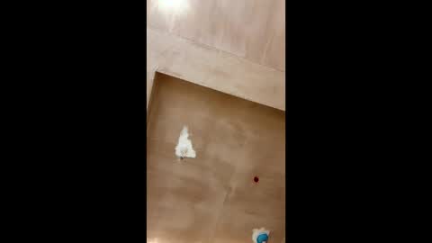 Snapshot of bigpoppa69999 chatting on 16, 1, 2025 bigpoppa69999 online show from 16, 1, 2025