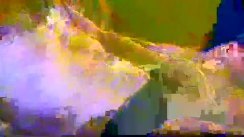 bigrig online show from 10, 12, 2024