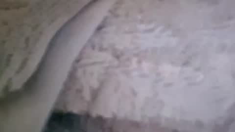Snapshot of bigsssnake69 chatting on 9, 7, 2026 bigsssnake69 online show from 9, 7, 2026