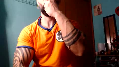 BigStallion online show from 10, 12, 2024