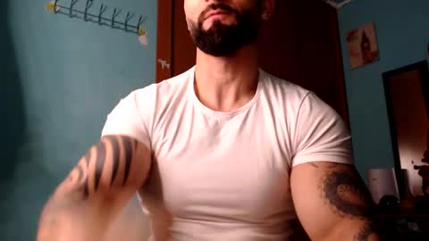 BigStallion online show from 8, 2, 2025