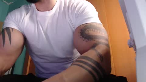 BigStallion online show from 28, 10, 2025