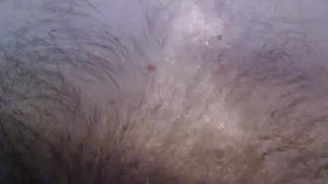 Snapshot of bigstudjohn22 chatting on 16, 11, 2025 bigstudjohn22 online show from 16, 11, 2025