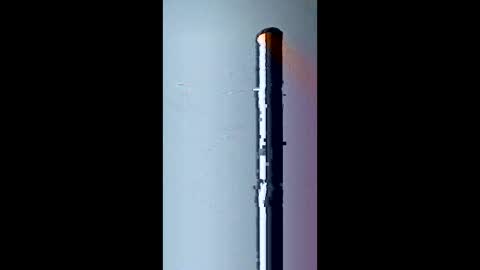 bigtex199801 online show from 31, 3, 2026