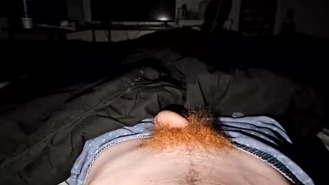 Snapshot of bigwhited2115 chatting on 9, 5, 2026 Onlyfans redheadedwhitedick online show from 9, 5, 2026