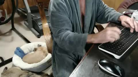 billy471 online show from 20, 11, 2025