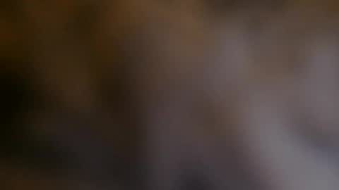 Snapshot of billyhuey12 chatting on 4, 12, 2024 NUMROUNO MACK online show from 4, 12, 2024