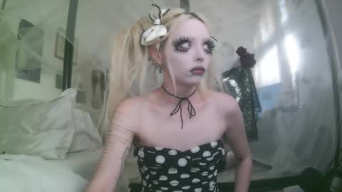 vampire fang  online show from 19, 12, 2025