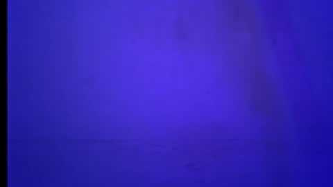 BLACK online show from 19, 1, 2026