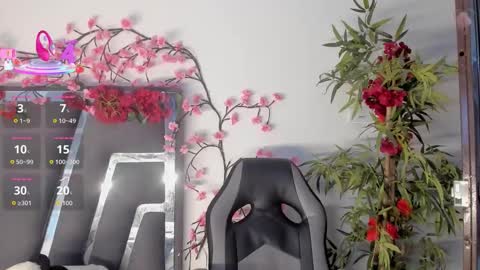 B L A C K  R O S E  online show from 3, 11, 2025