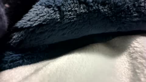 blackhammer8787 online show from 8, 12, 2024