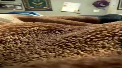 Snapshot of blancobenzo chatting on 1, 8, 2026 blancobenzo online show from 1, 8, 2026