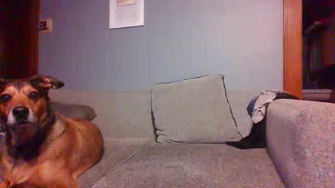 Snapshot of blaw_1321 chatting on 16, 10, 2025 blaw_1321 online show from 16, 10, 2025