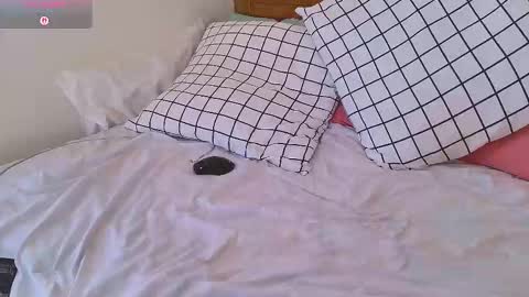 Sasha online show from 2, 2, 2026