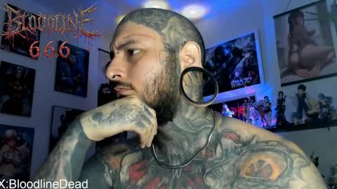    online show from 23, 5, 2026