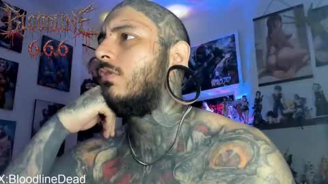    online show from 28, 5, 2026