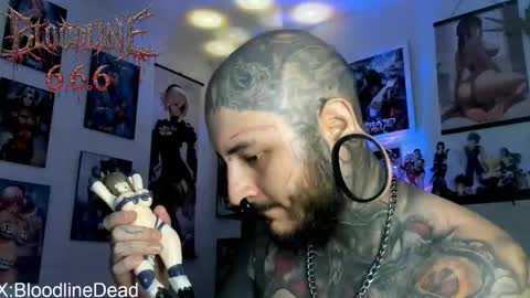    online show from 2, 6, 2026