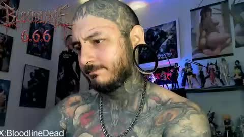   online show from 11, 7, 2026