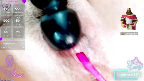 susan  online show from 6, 4, 2026