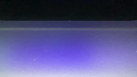 bluuuuuuub online show from 29, 12, 2024