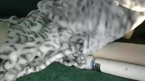 lyss online show from 28, 10, 2025