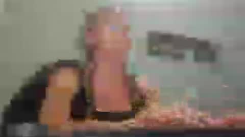 MamaMorgan online show from 27, 7, 2026