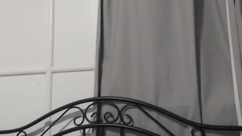 Snapshot of bob123478 chatting on 15, 12, 2024 bob online show from 15, 12, 2024