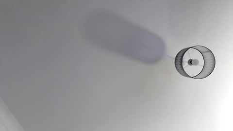 Snapshot of bobby160968 chatting on 19, 11, 2025 bobby160968 online show from 19, 11, 2025