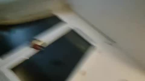 Snapshot of bomale89 chatting on 22, 12, 2024 bomale89 online show from 22, 12, 2024