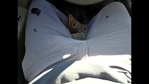 Snapshot of bombinshaman chatting on 12, 1, 2026 bombinshaman online show from 12, 1, 2026