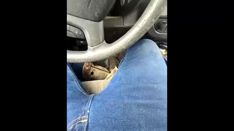 Snapshot of bombinshaman chatting on 4, 2, 2026 bombinshaman online show from 4, 2, 2026