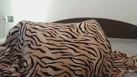 Lucy online show from 7, 3, 2026