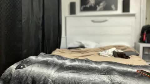 boner4you1994 online show from 19, 4, 2026