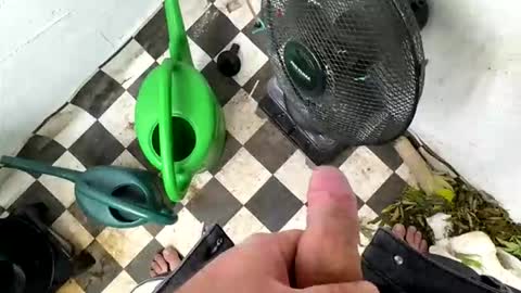 Snapshot of bonershot chatting on 23, 3, 2026 bonershot online show from 23, 3, 2026