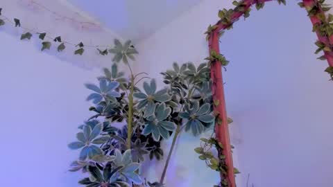   online show from 19, 3, 2026